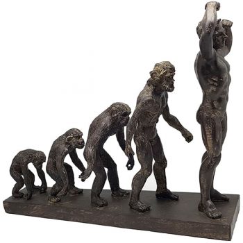 4229 פסל אבולוציה - 5 דמויות על בסיס